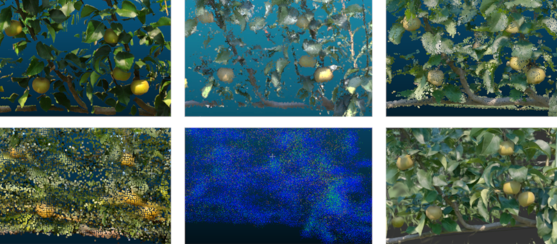 3D sensing comparison in orchard