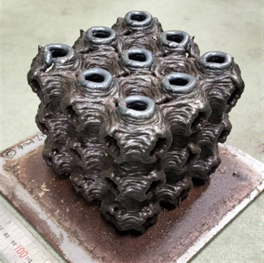 Schwrz primitive TPMS structure fabricated by DED-Arc