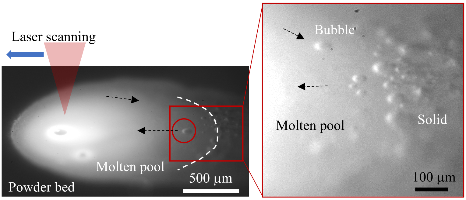 Molten pool formed on the alumina powder bed