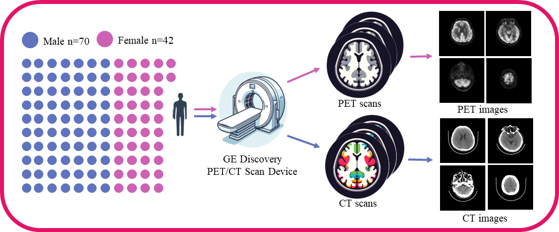 Data acquisition and preprocessing steps