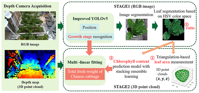 Pipeline of growth quantification