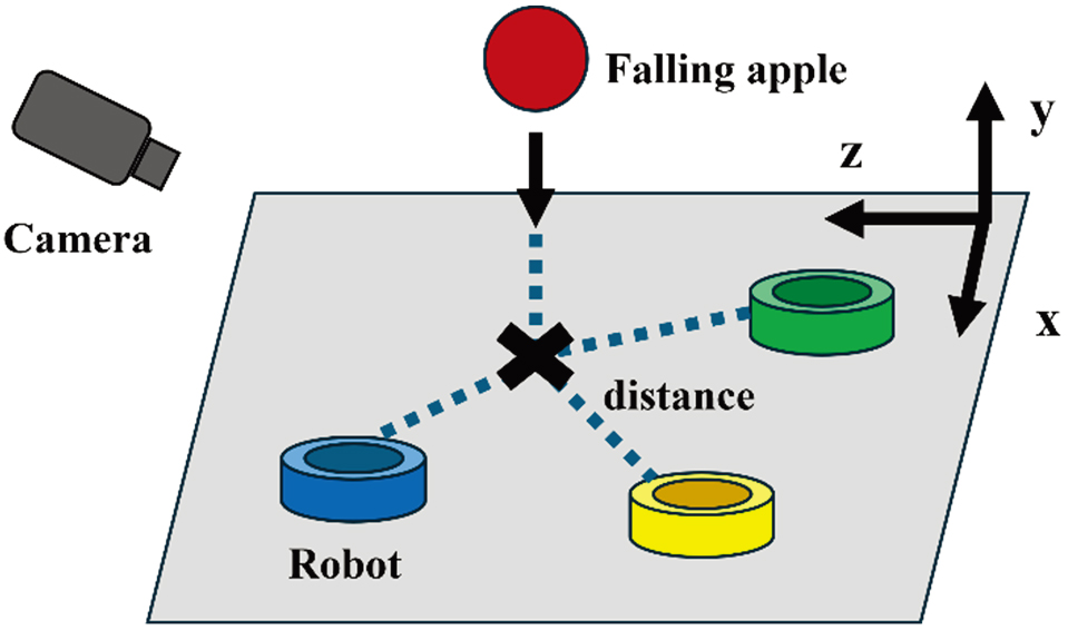 Human―agent apple-catching task
