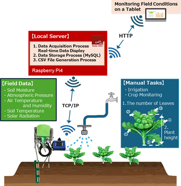 Conceptual diagram of the environmental monitoring system for broccoli growth in the field