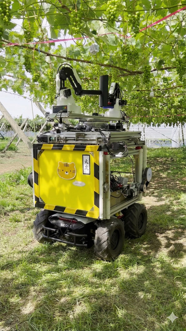Robotic system for grape berry thinning