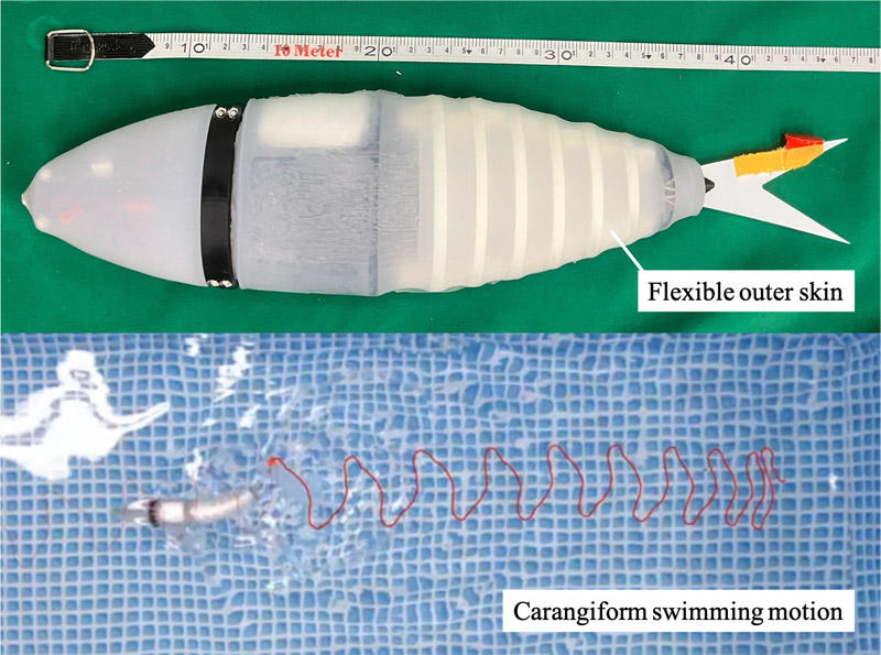 Wire-driven fish robot with flexible outer skin