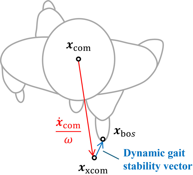 Prediction of dynamic gait stability