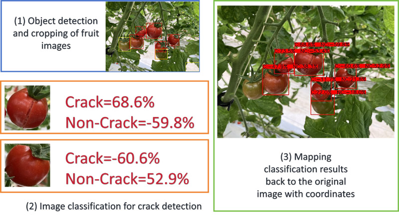 Crack detection via YOLO-Siamese network