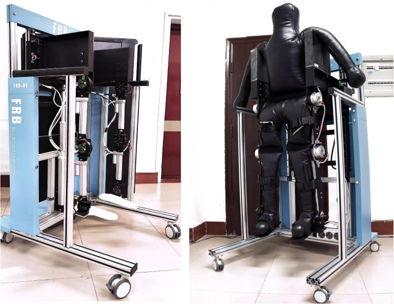 Lower-limb rehabilitation robot