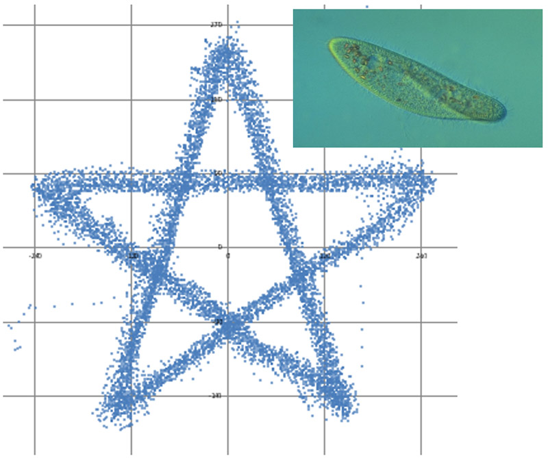 Precision swimming trajectory of a Paramecium