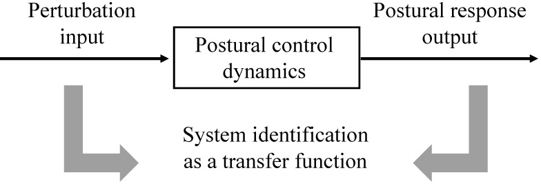 Input and output in system identification