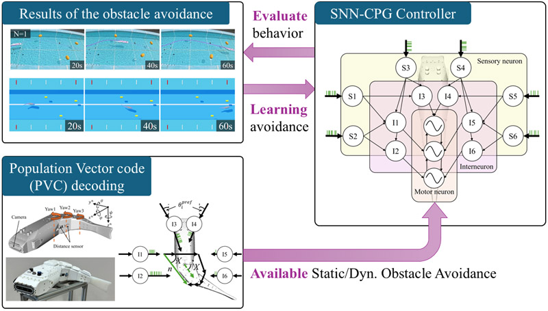 Conceptual overview of PVC-based SNN-CPG controller
