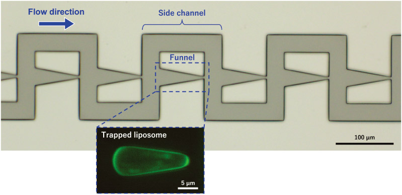 Microchannel with tapered funnels for evaluating liposome membrane tension