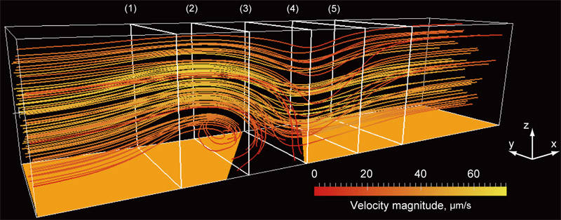 3D ACET flow in a microchannel