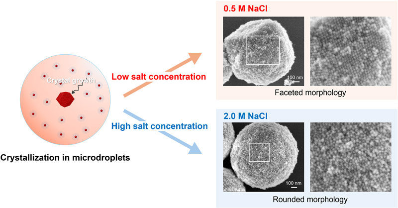 DNA-NP crystallization in microdroplets