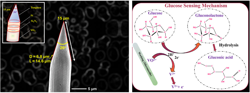 VO<sub>2</sub> microneedle: structure and sensing