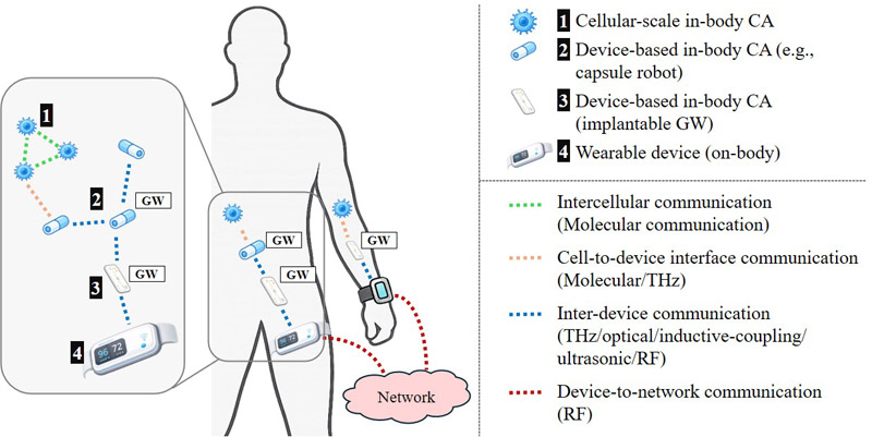 Multi-scale in-body CA communication