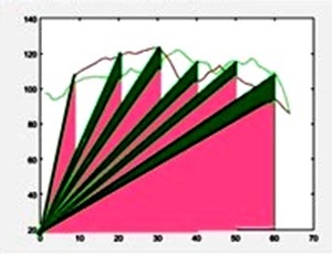 TFE-FSR technique for measuring the percentage