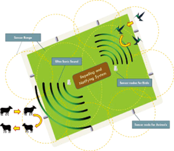 Safe Farming: Development of a Prevention System to Mitigate Vertebrates Crop Raiding