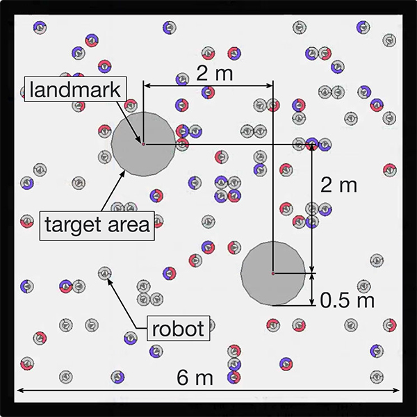 Settings of the path-formation task