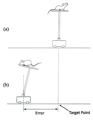 Mouse stabilization by fuzzy logic control