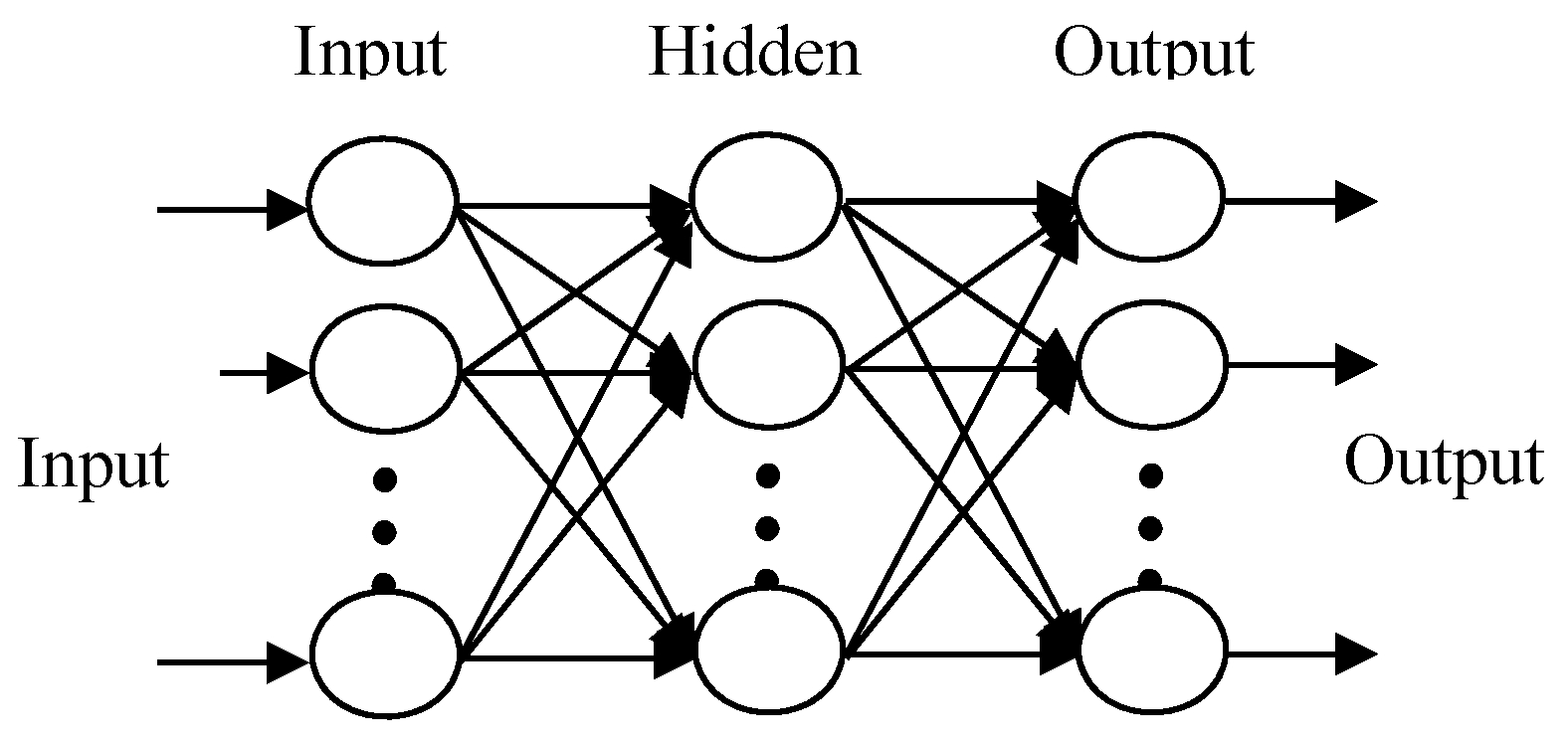 BP networks model structure