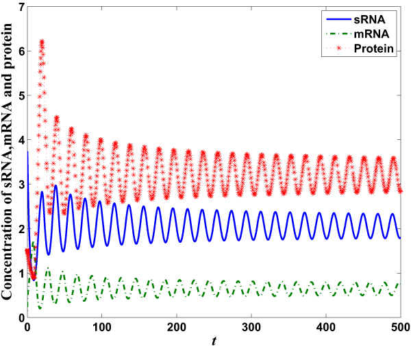 Dynamic Analysis of sRNA Regulated Quorum Sensing Network