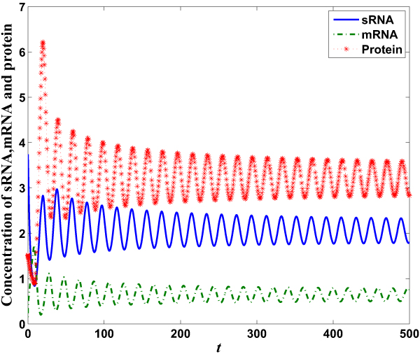 Dynamics of quorum sensing network