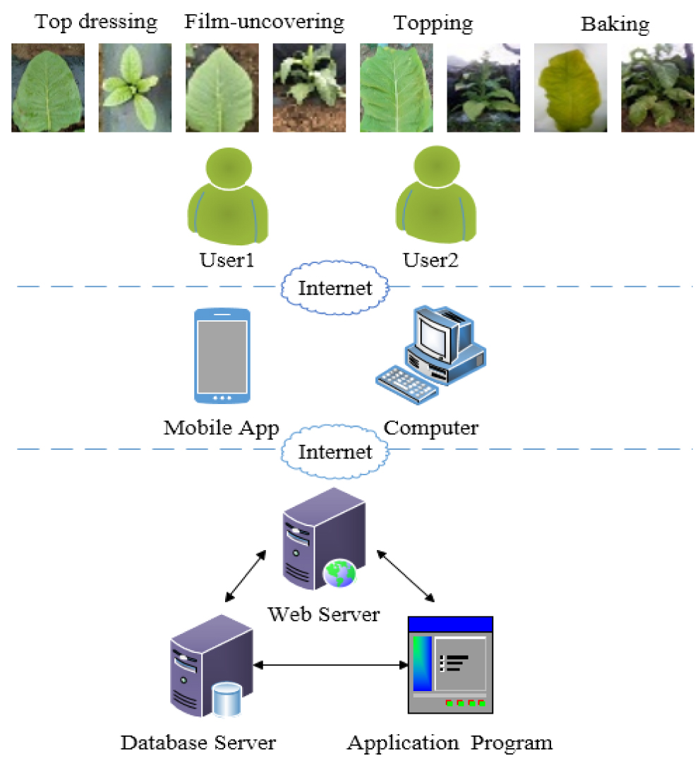 The system structure of a novel growth evaluation