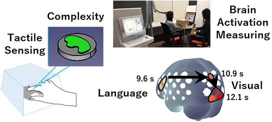 Tactile sensing recognition and brain activation