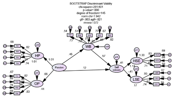 SEM of self-esteem on passion and well-being