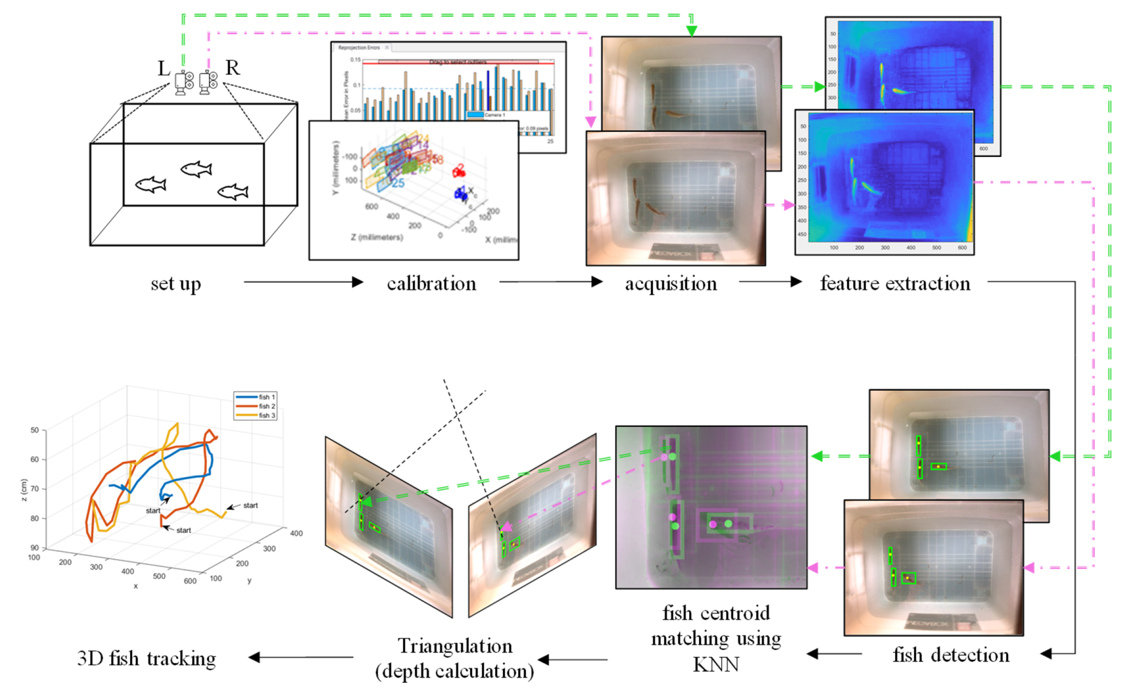 Proposed method of fish tracking