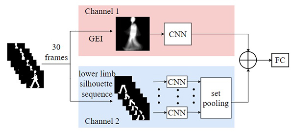 The picture is the overall structure of the FDSN network proposed in this paper. It is a dual-stream network based on the fusion of dynamic and static features