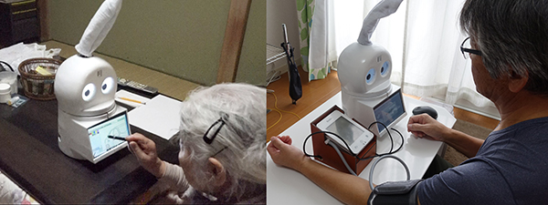 Frailty Care Robot for Elderly and its Application for Physical and Psychological Support