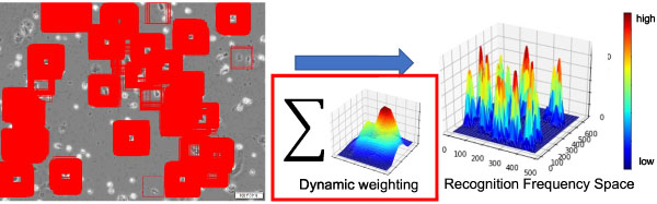 Proposal approach: Dynamic weighting, like activation mappings, is to weight RFS instead of Gaussian distribution. The weighting should be suitable for each patch image. It is possible to set the weight uniquely and suitably for each patch