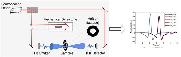 Dissociation and Recombination Processes in Lactose Monohydrate Detected by THz Time-Domain Spectroscopy