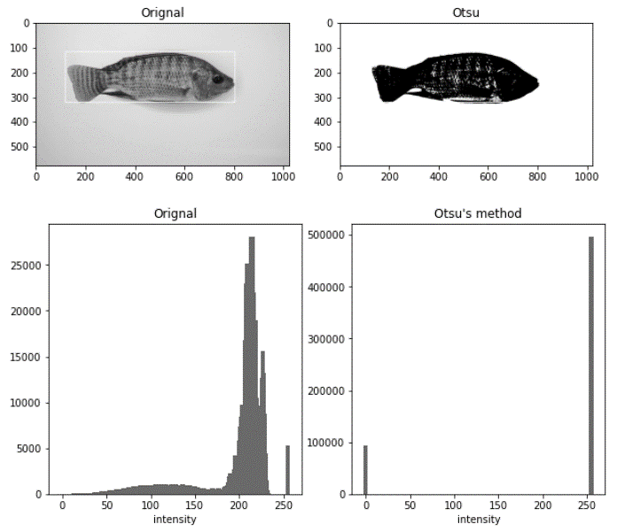 Histogram of original vs. image after Otsu