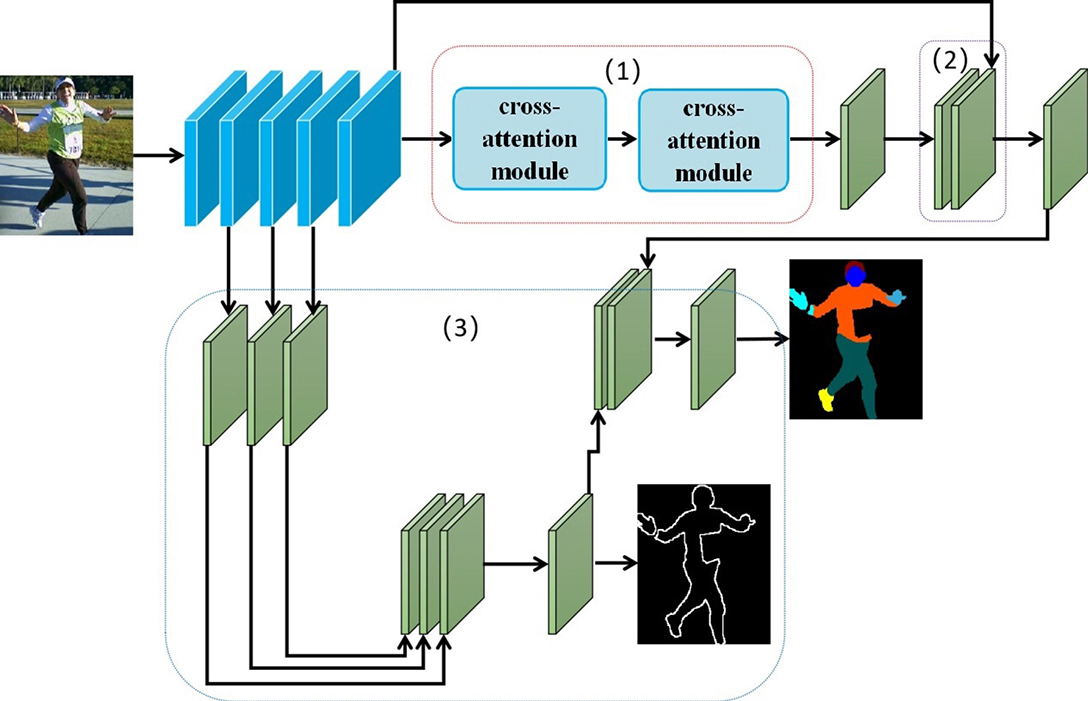 Single human parsing network