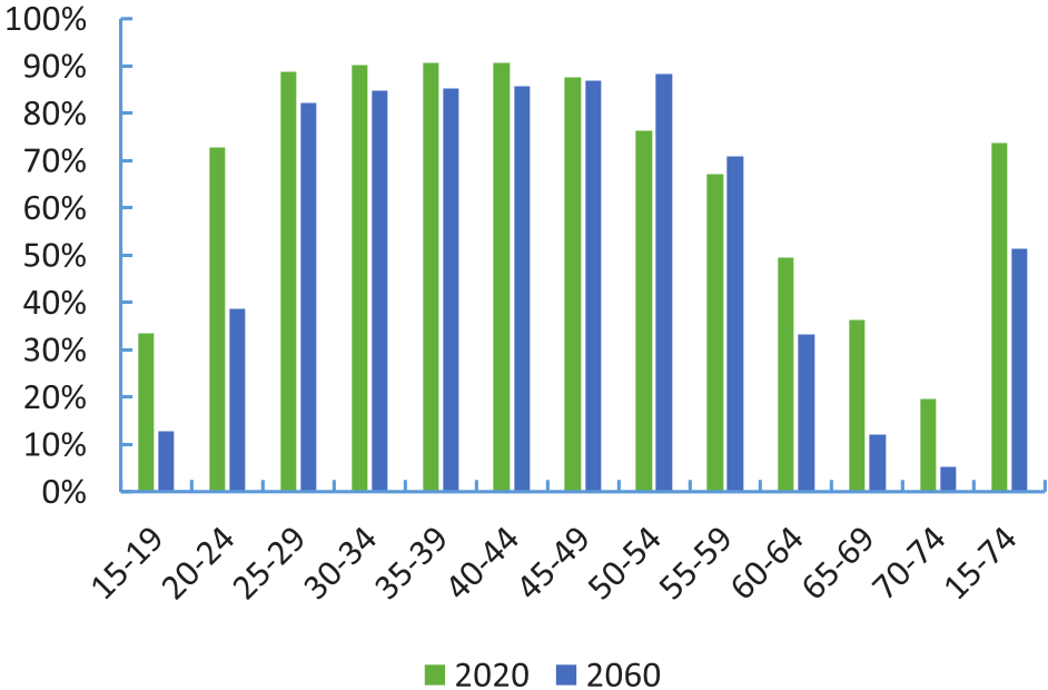 Trends in the labor participation rates