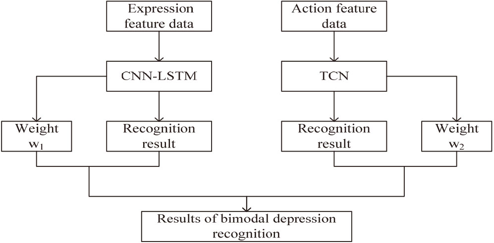 Recognition based on the weighted fusion of expression and action