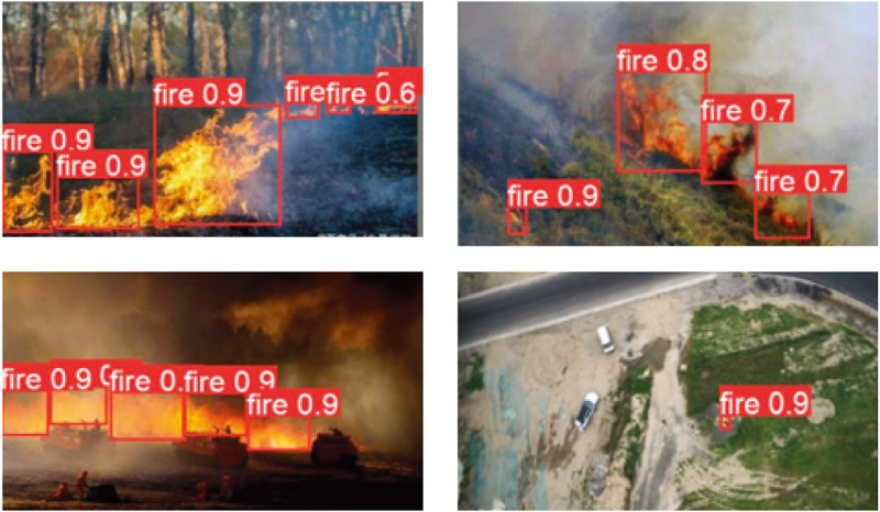 Detection results