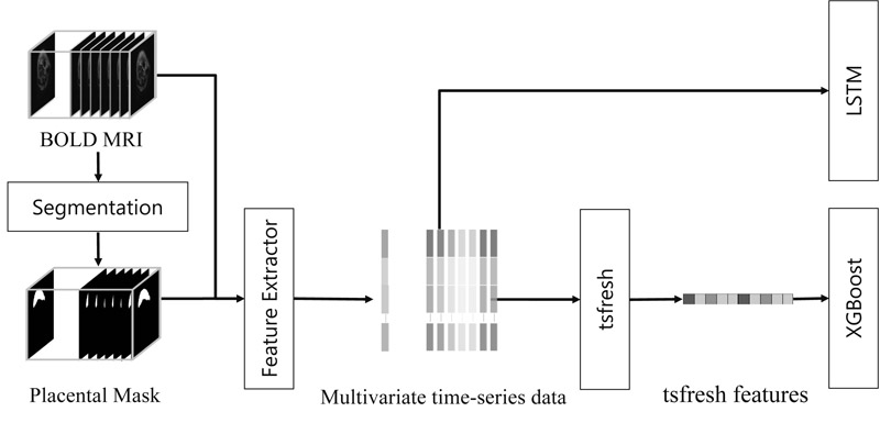 Flow of methods for FGR estimation