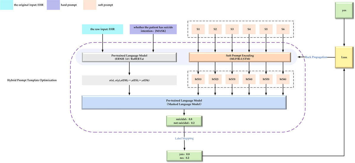 The optimization process of a hybrid prompt-based detection model