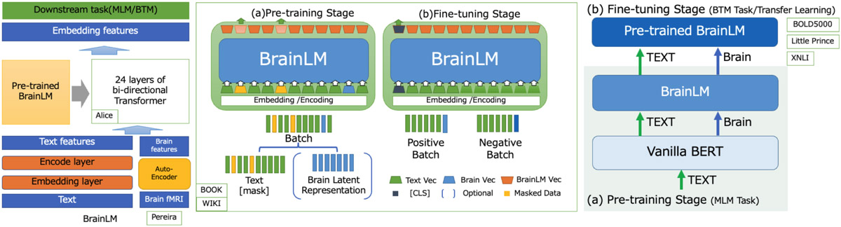 BrainLM: a framework for brain-to-text