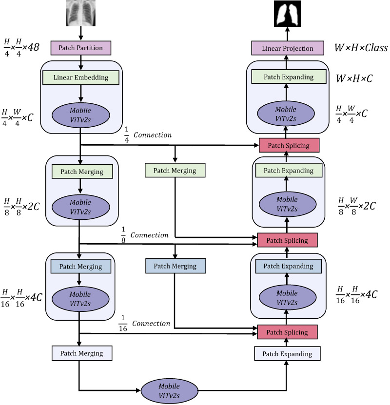 Illustration of the network architecture