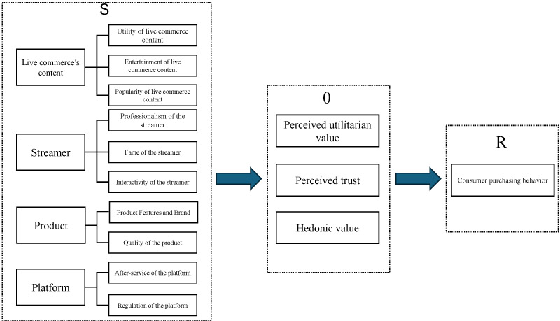 Conceptual framework