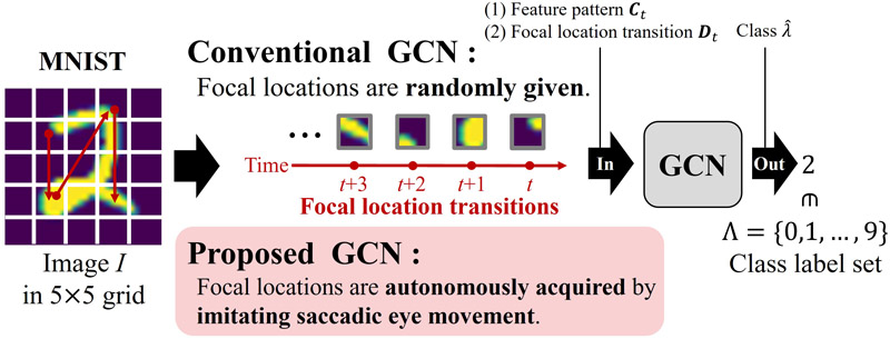 The proposed GCN mimics saccades to autonomously acquire focal locations