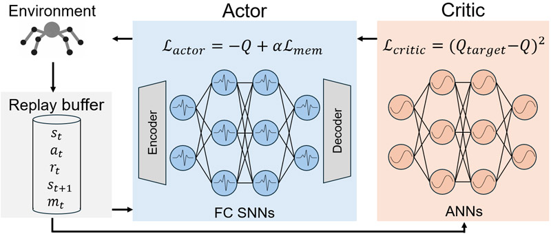 SNN-based actor-critic framework for RL