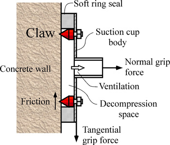 Claws attached to suction cups