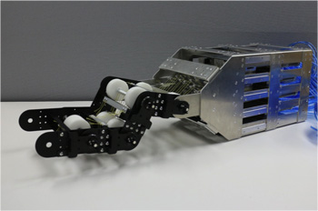 A pneumatic musculoskeletal robot