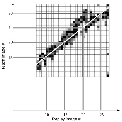 Similarity map between image sequences